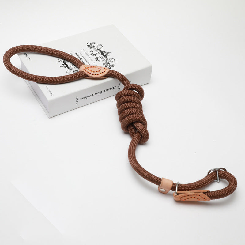 Slip Lead Dog Training Leash