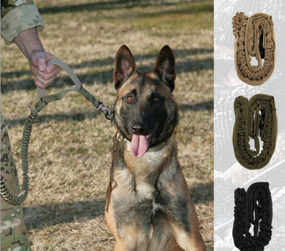 Reflective Thread Dog Leash for Enhanced Safety